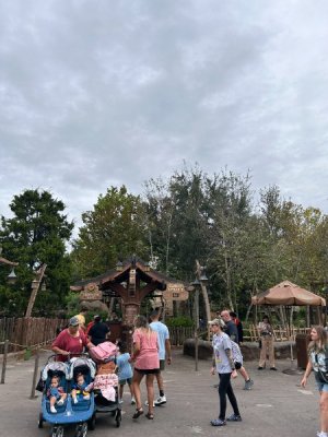 IMG_6974.JPEG