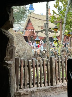IMG_6980.JPEG