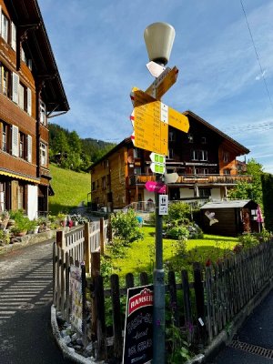 IMG_0323.jpeg