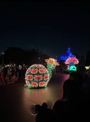IMG_8339.jpeg