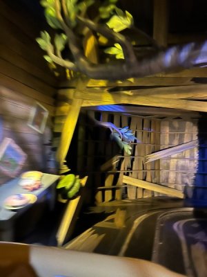 IMG_6991.JPEG