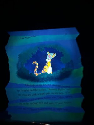 IMG_6992.JPEG