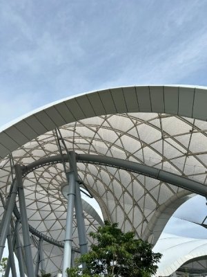 IMG_7026.JPEG