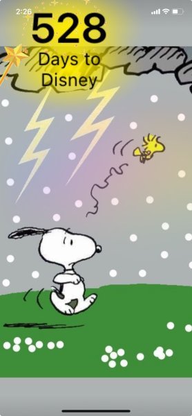 SW STORM.jpeg