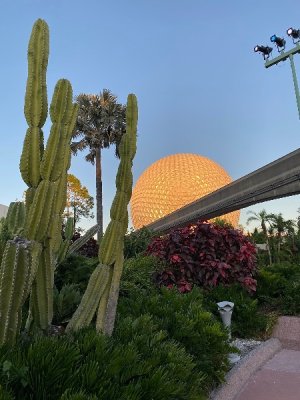 IMG_0205.jpeg