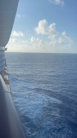 IMG_3339 (1).jpeg