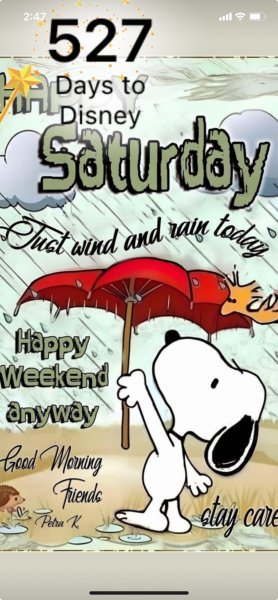 SW RAINY SATURDAY.jpeg