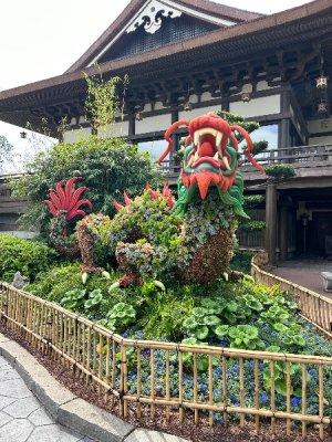 IMG_4249.jpeg