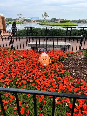 IMG_4251.jpeg