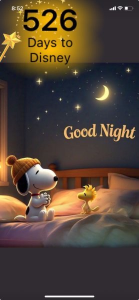 SW GOOD NIGHT SUNDAY.jpeg