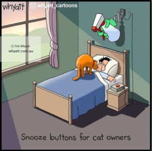 1749475357249.png