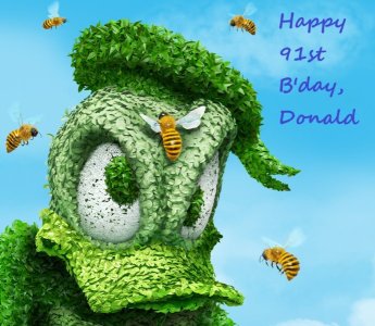 FG DONALD BDAY.jpg