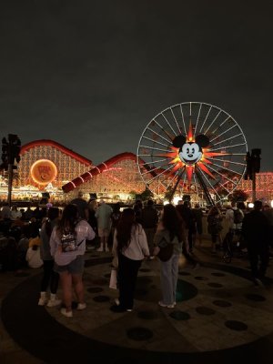 IMG_3491.jpeg IMG_3491.jpeg