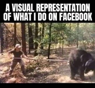 bear.jpg