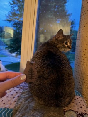 IMG_7817.jpeg