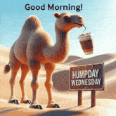 IMG_4255.gif
