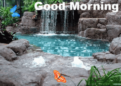 IMG_5743.gif