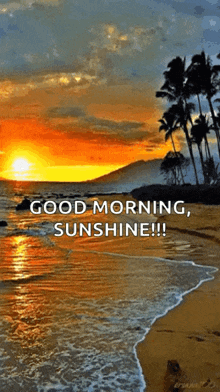 IMG_5744.gif