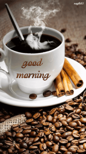IMG_5745.gif