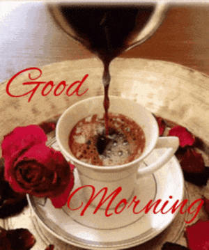IMG_5317.gif