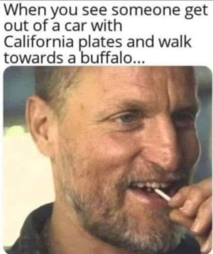 tj1icbmn01bm.jpg