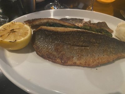 IMG_1737.jpeg