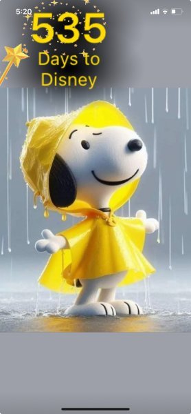 SNOOPY RAINY SATURDAY.jpeg