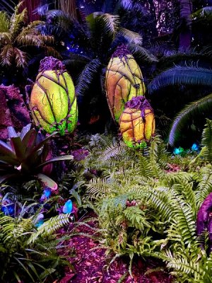 IMG_2858.jpeg