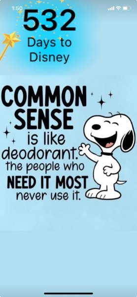 SNOOPY COMMON SENSE.jpeg