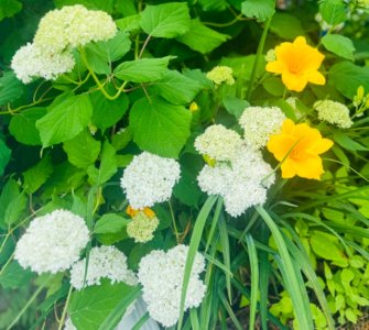 IMG_8143.jpeg