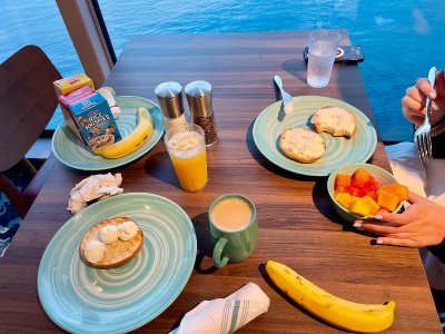 IMG_3485 (1).jpeg