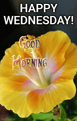 IMG_5804.gif