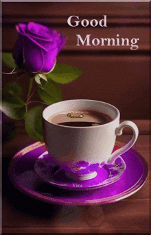 IMG_5806.gif