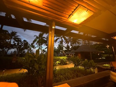 IMG_3071.jpeg