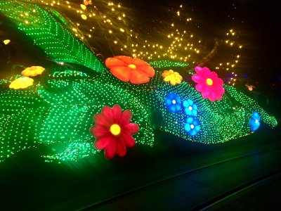 IMG_0321.jpeg