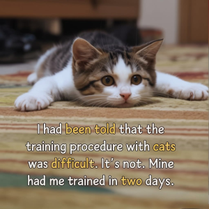 1750388227388.png