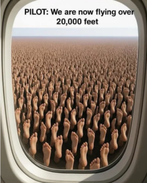 feet.png