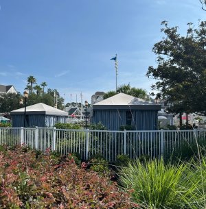 IMG_2943.jpeg