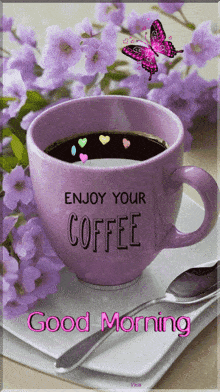 IMG_5815.gif