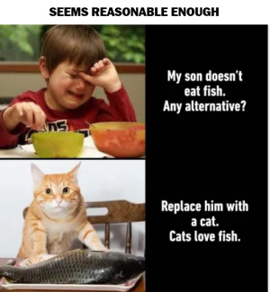 son cat.png