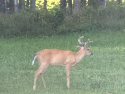 IMG_1622.jpeg