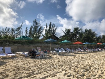 IMG_5511.jpeg