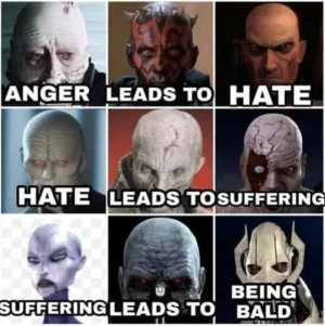 6855b5e12de02.png