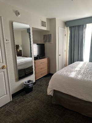 IMG_6229.jpeg