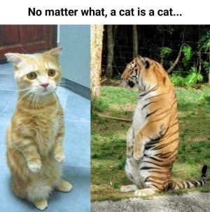 FB_IMG_1750046165643.jpg