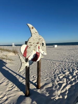 IMG_6362.jpeg