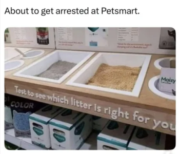 litter.png