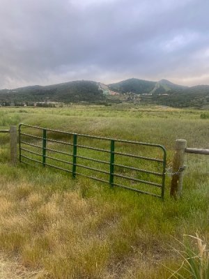 IMG_2735.jpeg