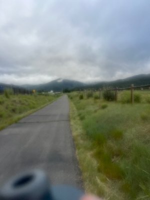 IMG_2736.jpeg