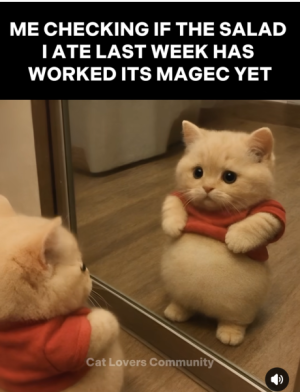 1750614614833.png